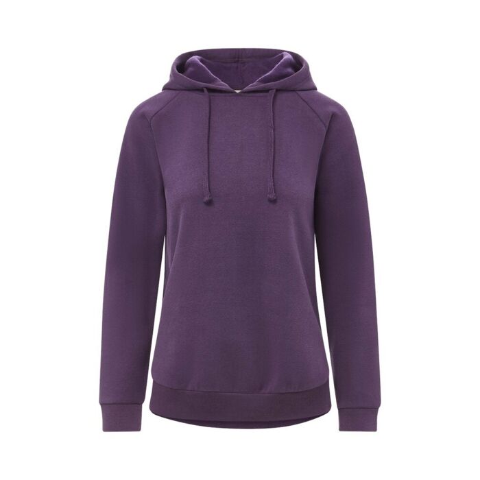 Women's Vintage Fleece Hooded Sweatshirt Thumbnail